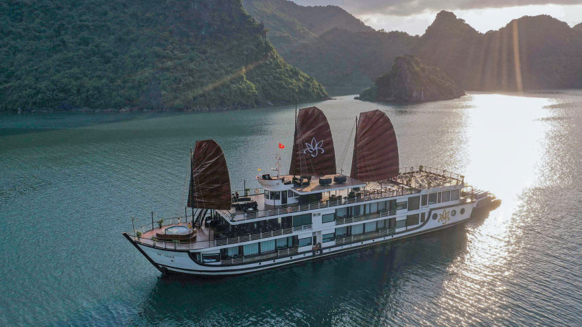 Orchid Cruise - Asia Charm Tours