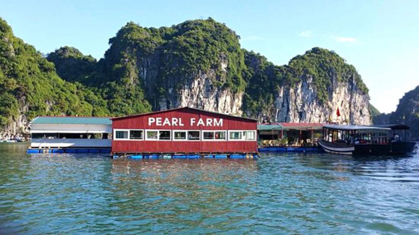 Lavender Elegance Cruise Halong Bay