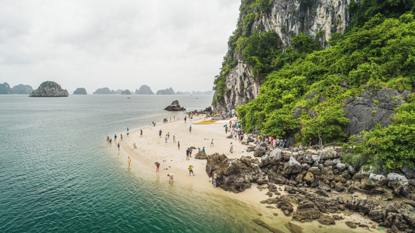 Lavender Elegance Cruise Halong Bay