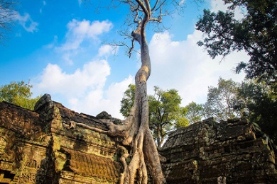 /files/files_1/Tour/cambodia/bets-of-cambodia/siem-reap-in-depth-4-days/594755cb1aac7%20(2).jpg