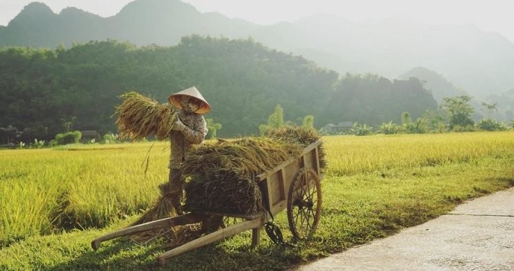 Northern Vietnam Casual Life 8 Days