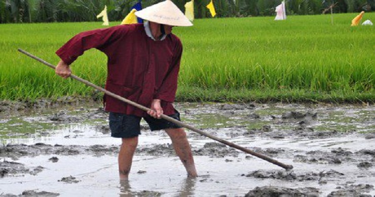 Become A Farmer In Cam Thanh Village